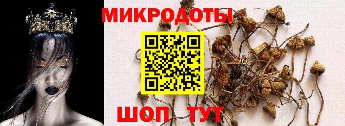 Галлюциногенные грибы мухоморы Ликино-Дулёво